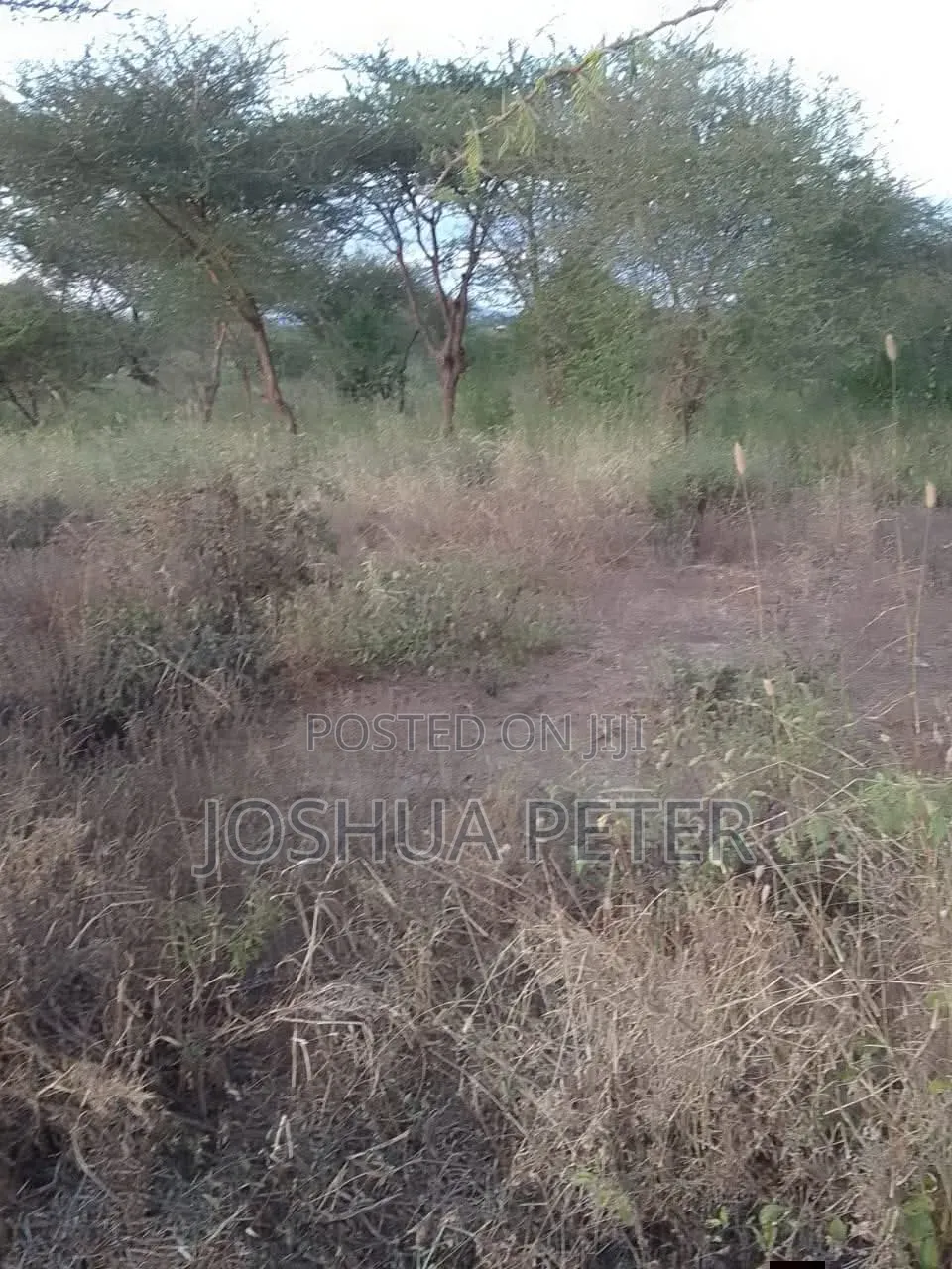 Prime Land for Sale