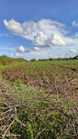 Ready Title 10acres Imbrrikani Land
