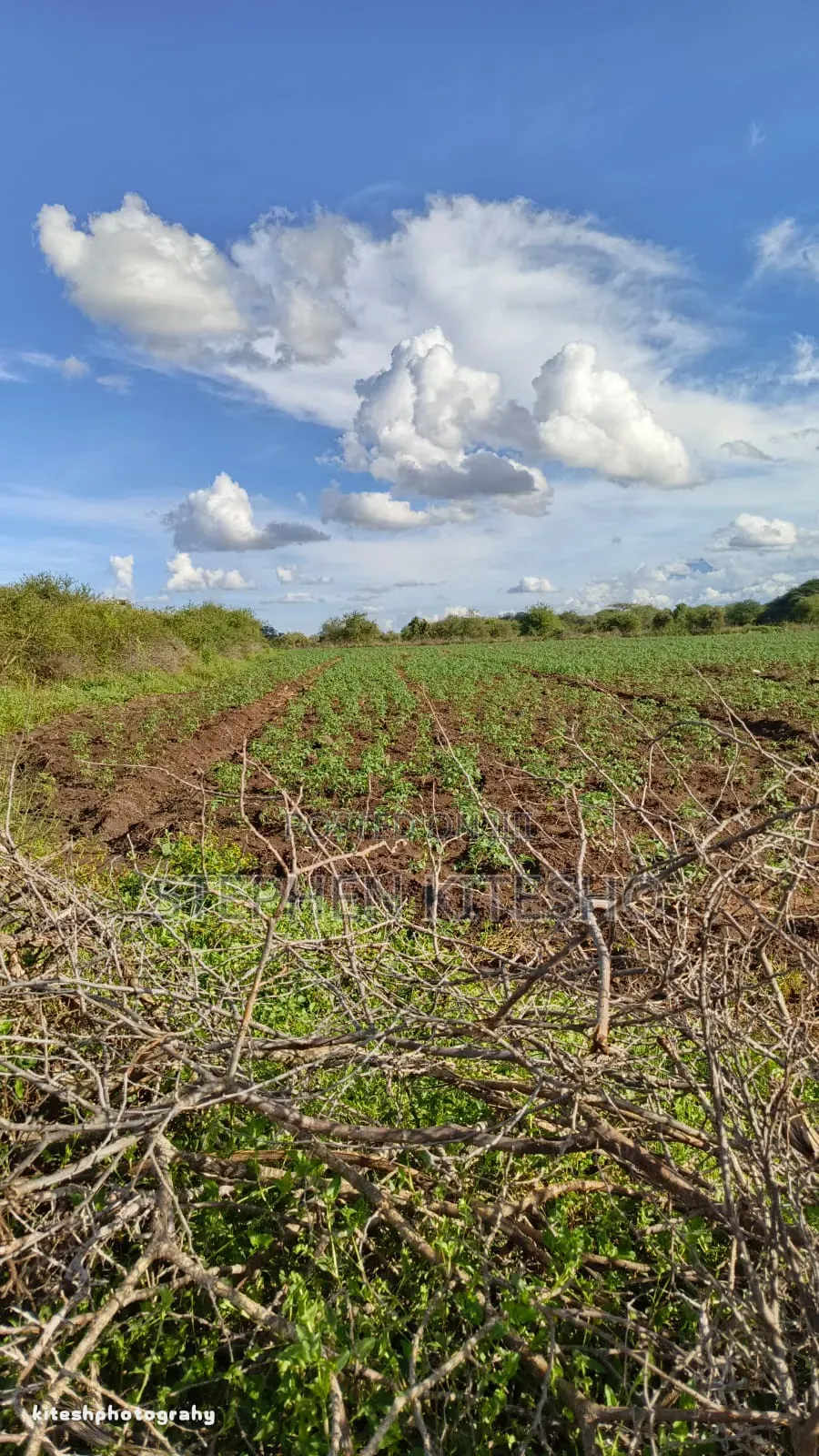 Ready Title 10acres Imbrrikani Land