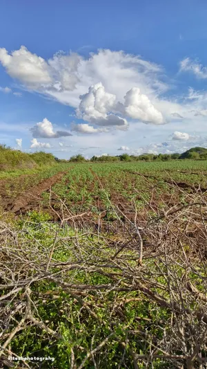 Ready Title 10acres Imbrrikani Land