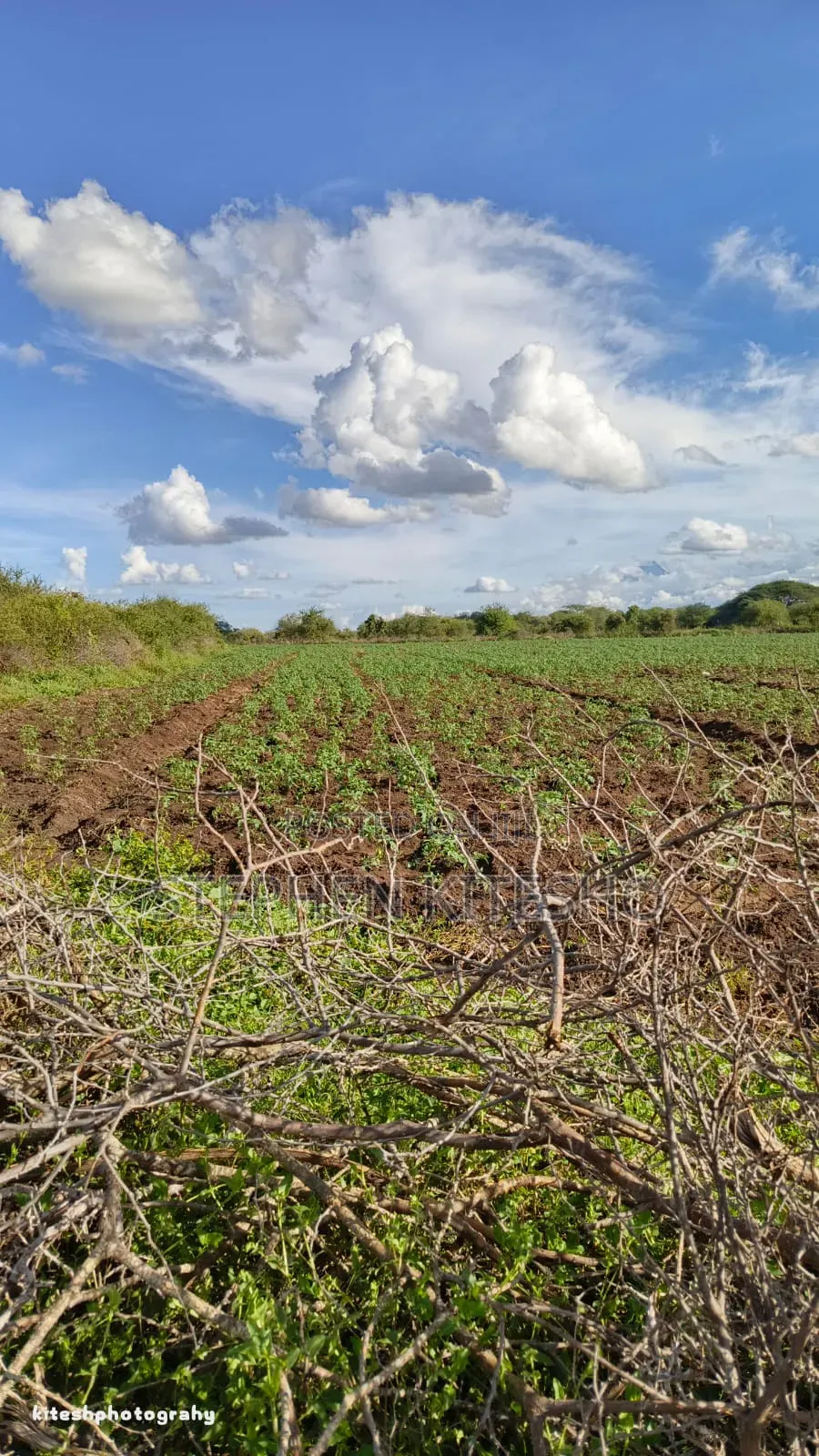 Ready Title 10acres Imbrrikani Land