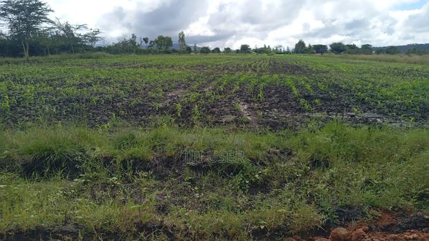 Investment Land - main view
