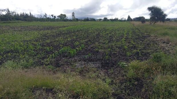 Investment Land - thumbnail 2