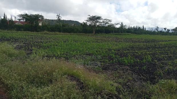 Investment Land - thumbnail 3