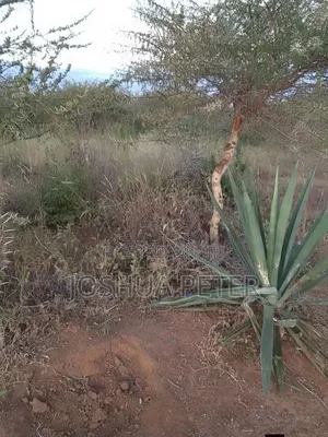 Prime Land for Sale