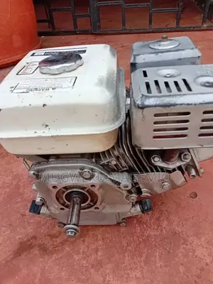 Petrol Motor