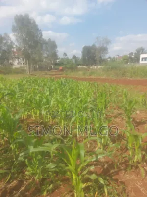 Golden Palm Estate Kiambu Rd Prime 1/4 Ac Ready Title