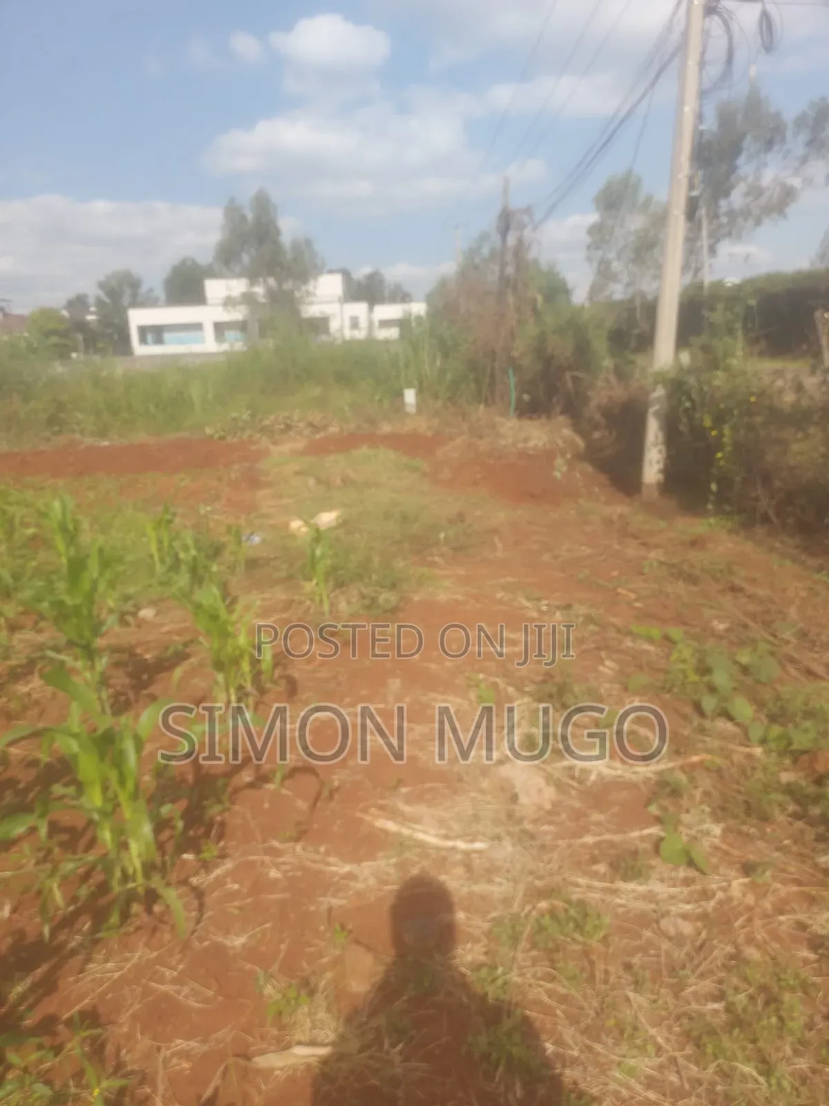 Golden Palm Estate Kiambu Rd Prime 1/4 Ac Ready Title