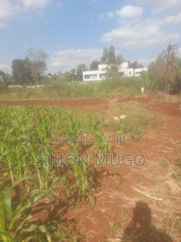 Golden Palm Estate Kiambu Rd Prime 1/4 Ac Ready Title - thumbnail 5