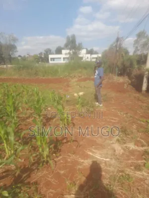 Golden Palm Estate Kiambu Rd Prime 1/4 Ac Ready Title