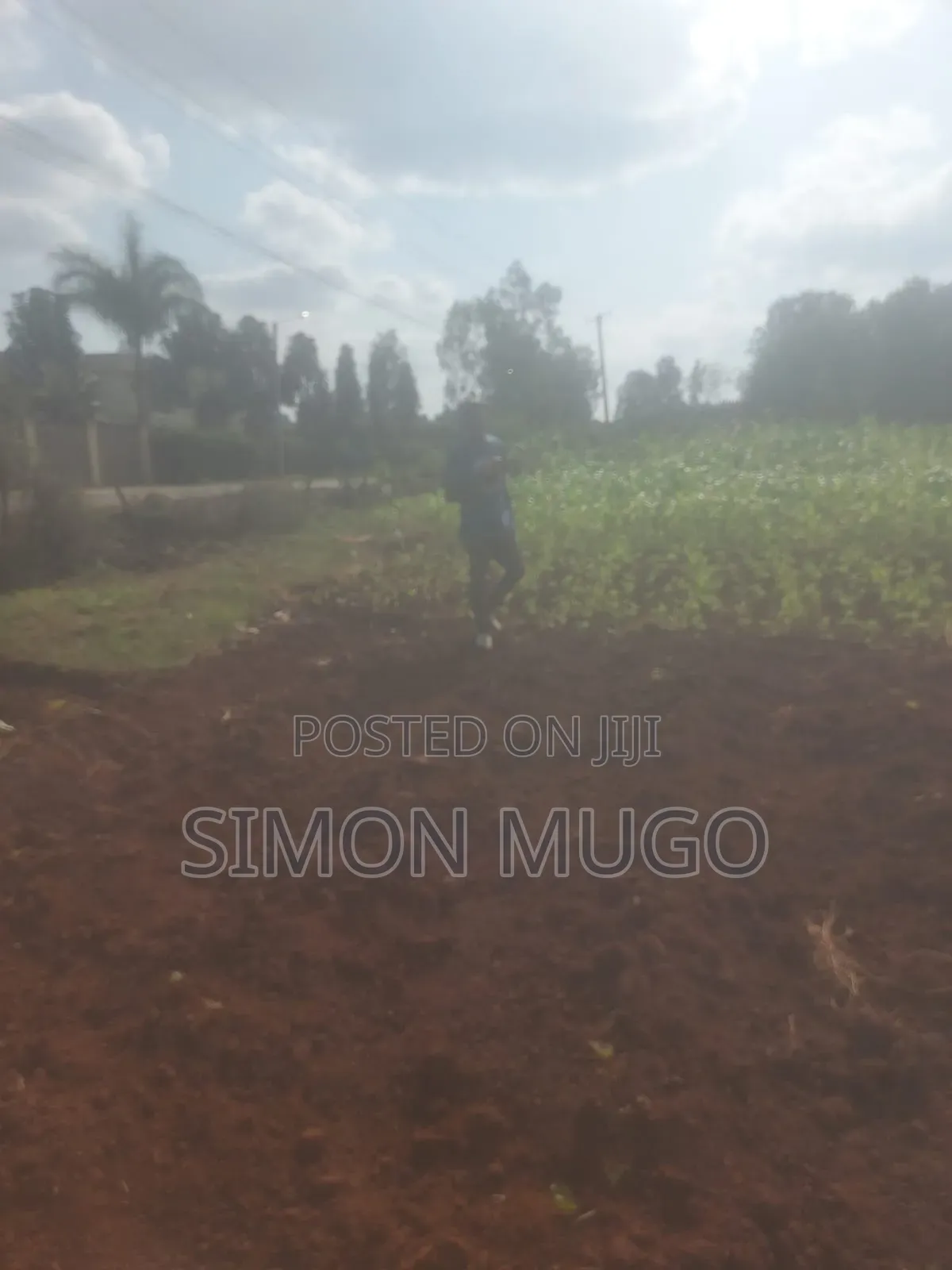 Golden Palm Estate Kiambu Rd Prime 1/4 Ac Ready Title