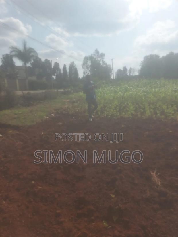 Golden Palm Estate Kiambu Rd Prime 1/4 Ac Ready Title - thumbnail 7
