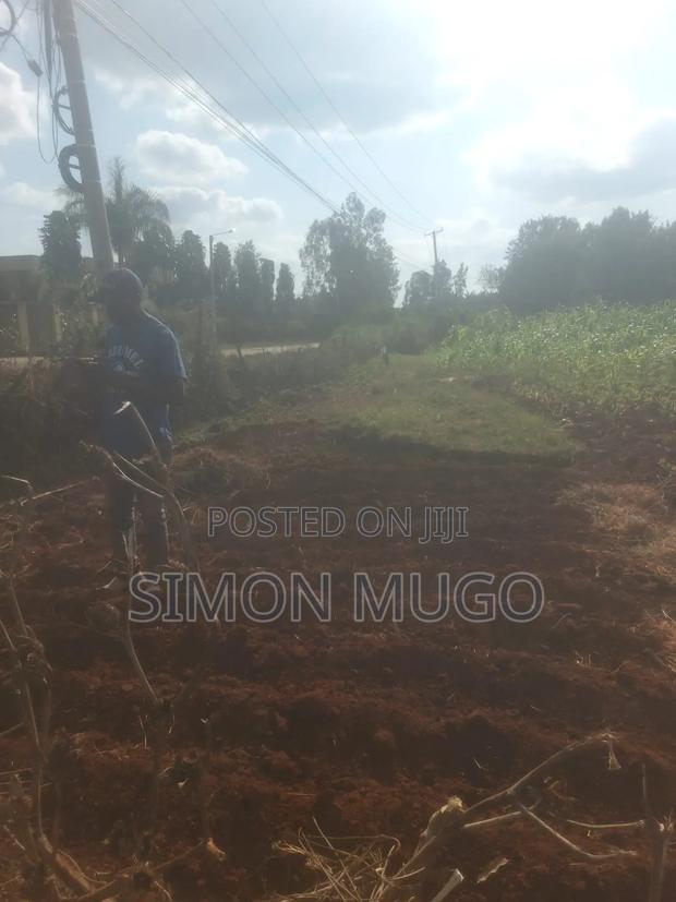 Golden Palm Estate Kiambu Rd Prime 1/4 Ac Ready Title - thumbnail 8