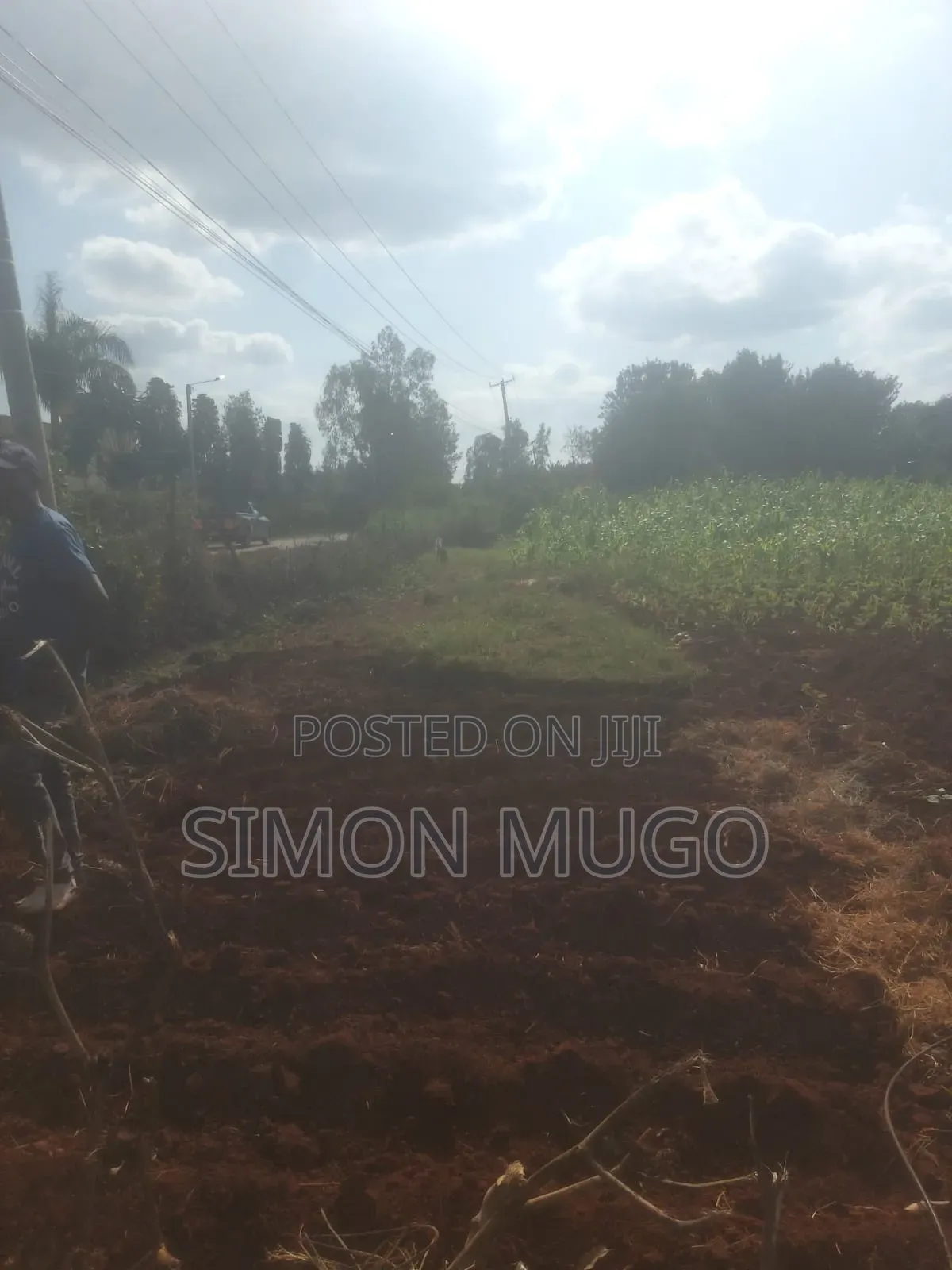 Golden Palm Estate Kiambu Rd Prime 1/4 Ac Ready Title
