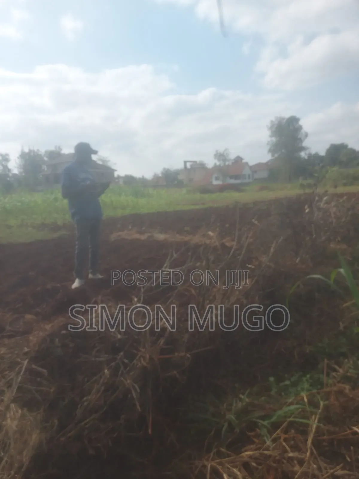 Golden Palm Estate Kiambu Rd Prime 1/4 Ac Ready Title