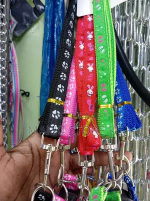 Chiwawa Dog Leash Small Dogs Leash