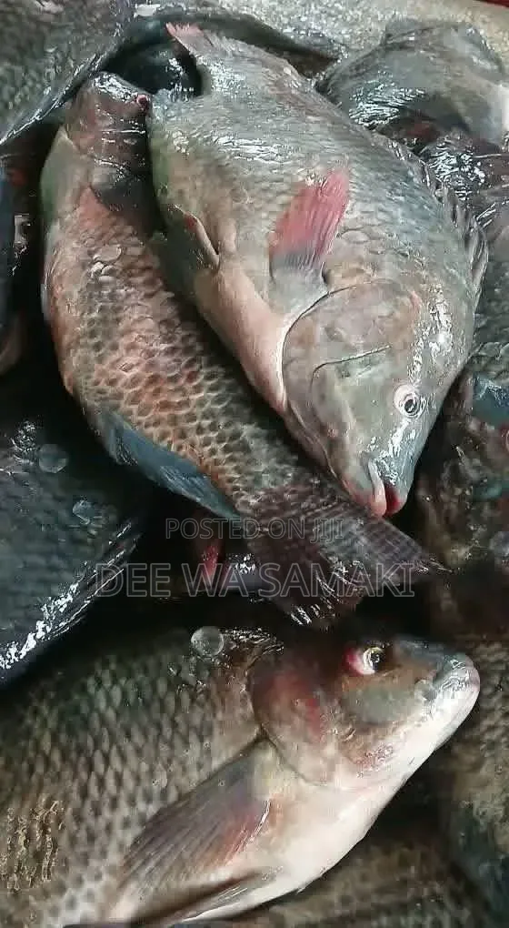 Fresh Fish,Deep Fried Nile Pearch