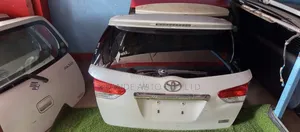 Wish Boot/Tailgate