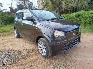 Suzuki Alto 2019 Brown