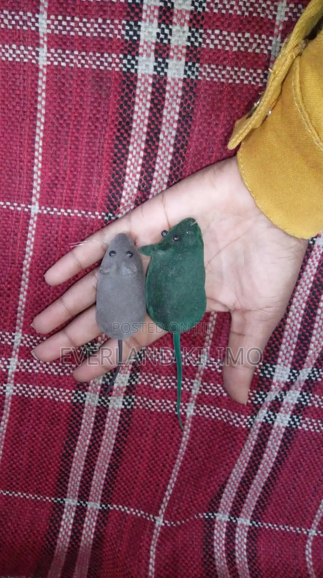 Mouse Toy Each