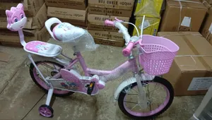 Light Pink Size 16 Bicycle