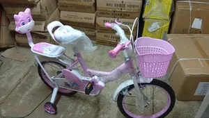 Light Pink Size 16 Bicycle
