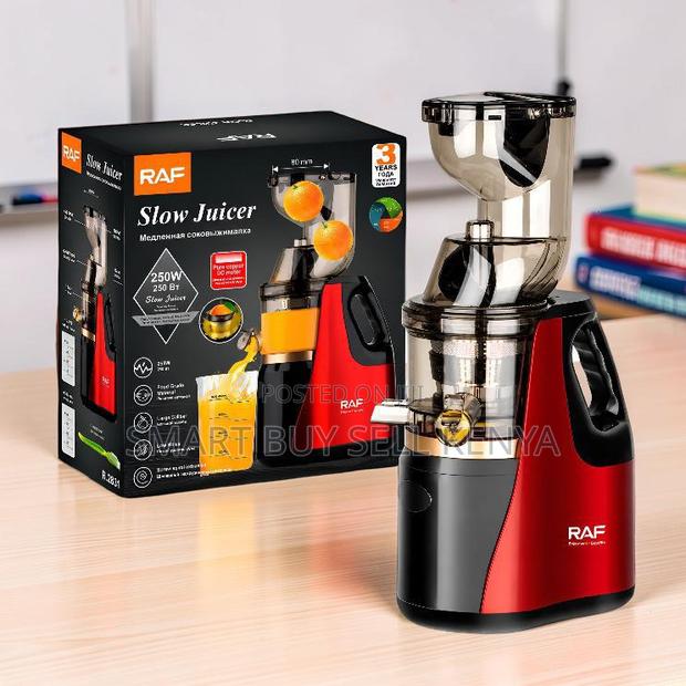 Fresh Juice Preparation Raf 400ml Slow Juicer Juice Extractor