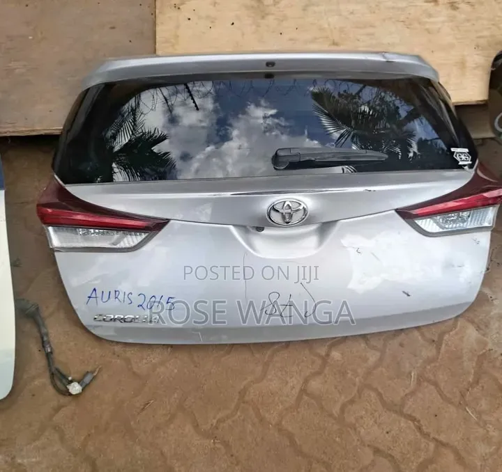 Auris 2018 Boot