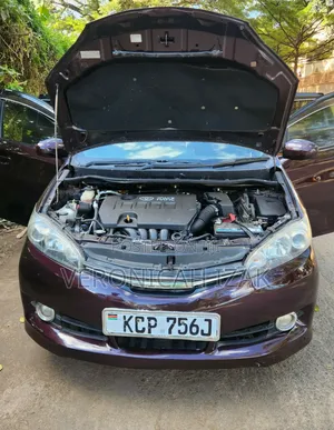 Toyota Wish 2010 Burgundy