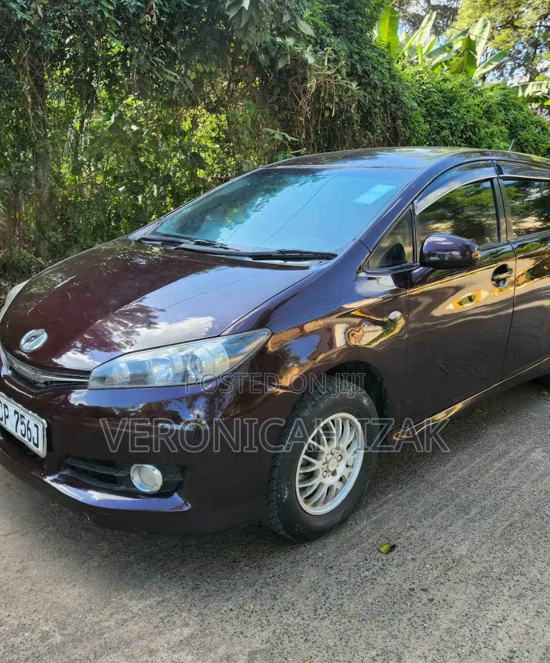 Toyota Wish 2010 Burgundy