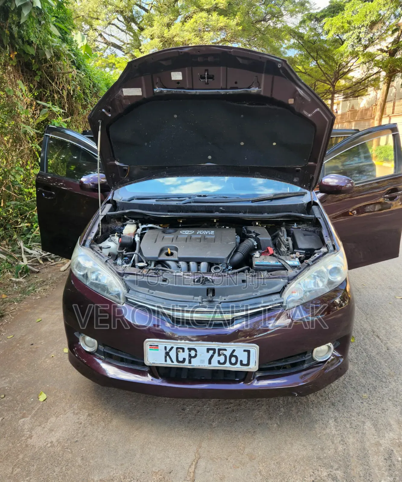 Toyota Wish 2010 Burgundy