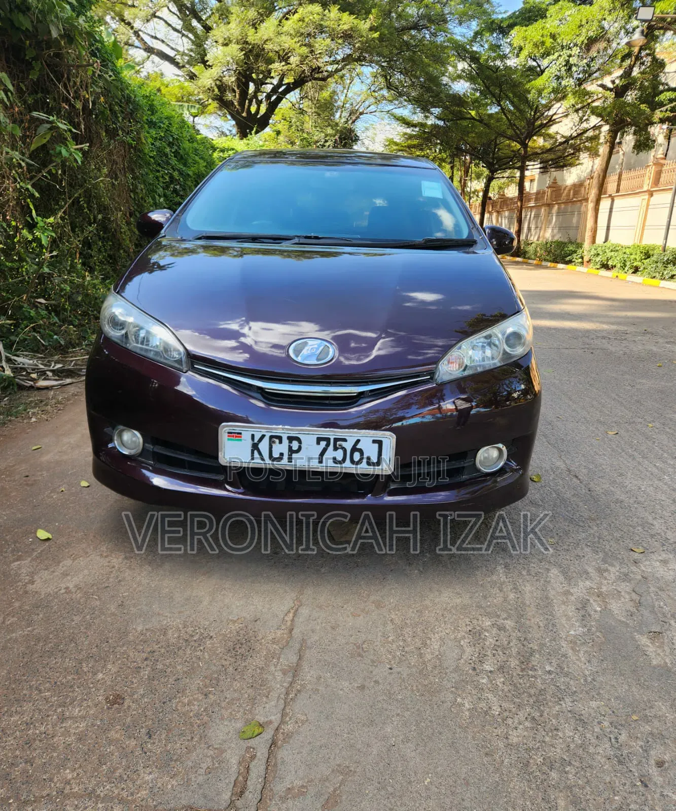 Toyota Wish 2010 Burgundy