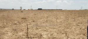 Plots for Sale in Mariakani