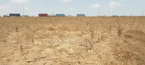 Plots for Sale in Mariakani