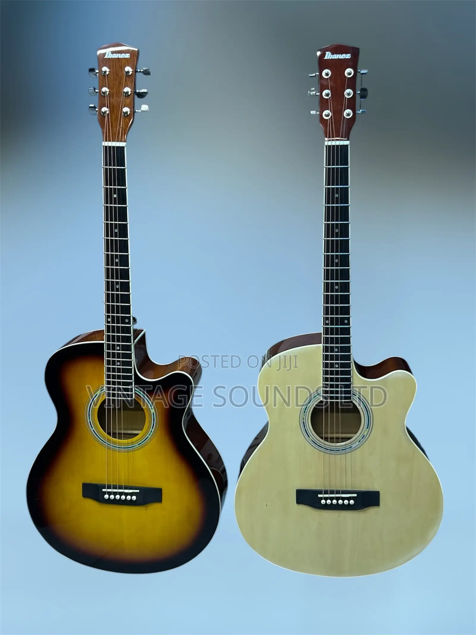 Ibanez 40" Acoustic Guitar: Professional.