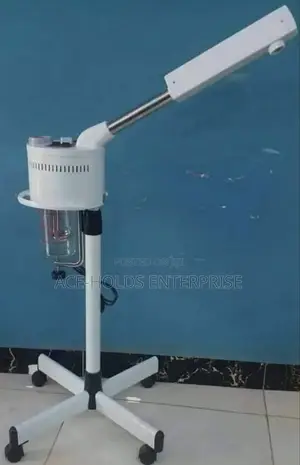 Movable Hot and Cold Facial Steamer