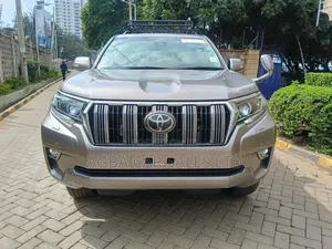 Toyota Land Cruiser Prado 2019 Brown