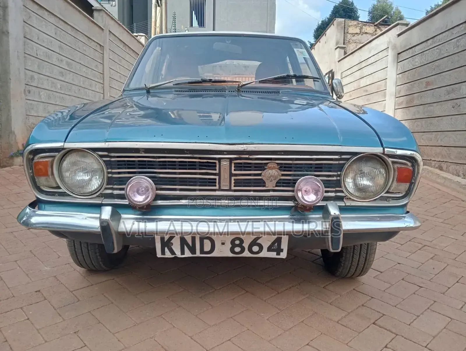 Car 1970 Green