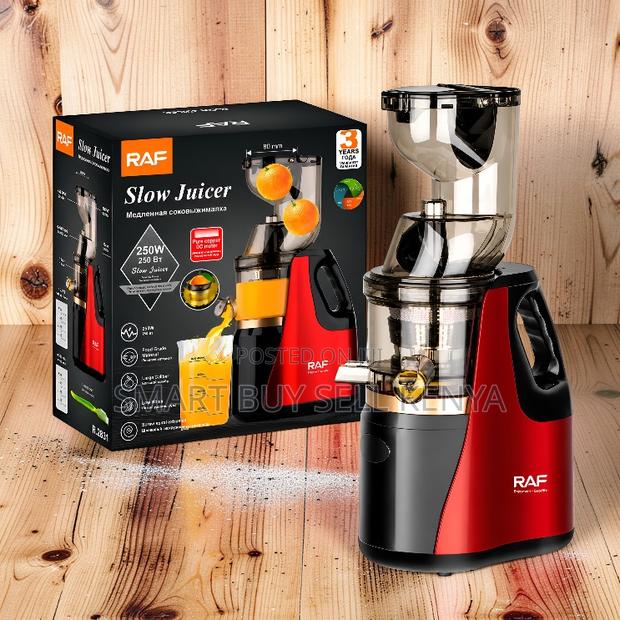 Reliable Performance Raf 400ml Slow Juicer Juice Extractor