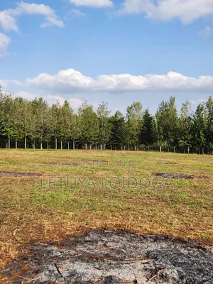 Beautiful 1-Acre Plots Ngong-Oloika Road