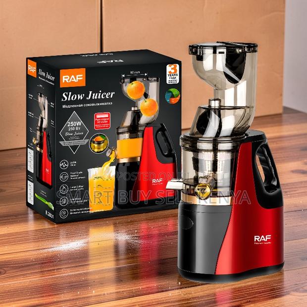 Easy to Use Raf 400ml Juice Capacity Slow Juicer Juice Extractor