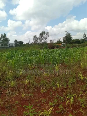 1/4 Acre Plots Kiambu Road Golden Palm
