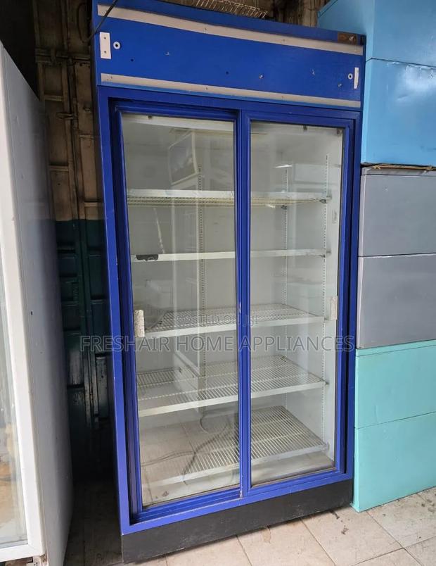 Blue 2 Door Display Refrigerator - thumbnail 2