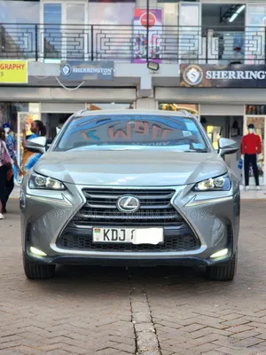 Lexus NX 2015 Beige