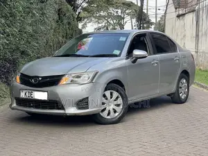 Toyota Axio 2014 Silver