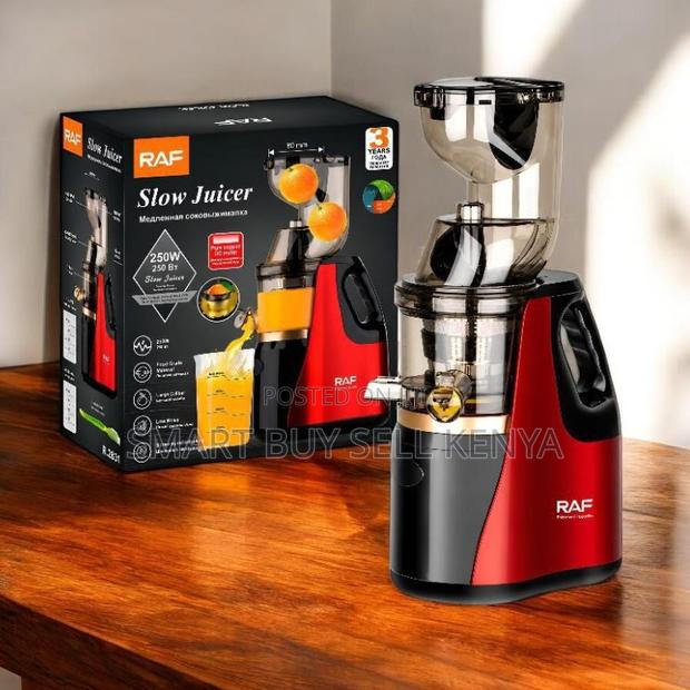 Easy to Clean Raf R.2831 400ml Slow Juicer Juice Extractor
