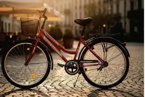Victory Mtb Bike Size 26 Single Speed At 9,000