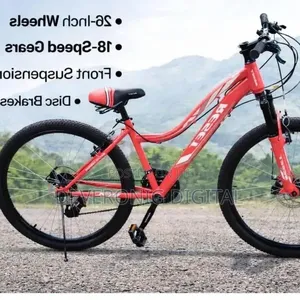Reset Size 26 Mtb Bike With Gear