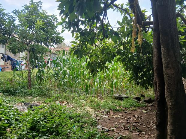 Plot 100×50 for Sale - thumbnail 2