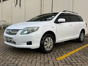Toyota Corolla Fielder 1.5 Petrol AWD 2009 White